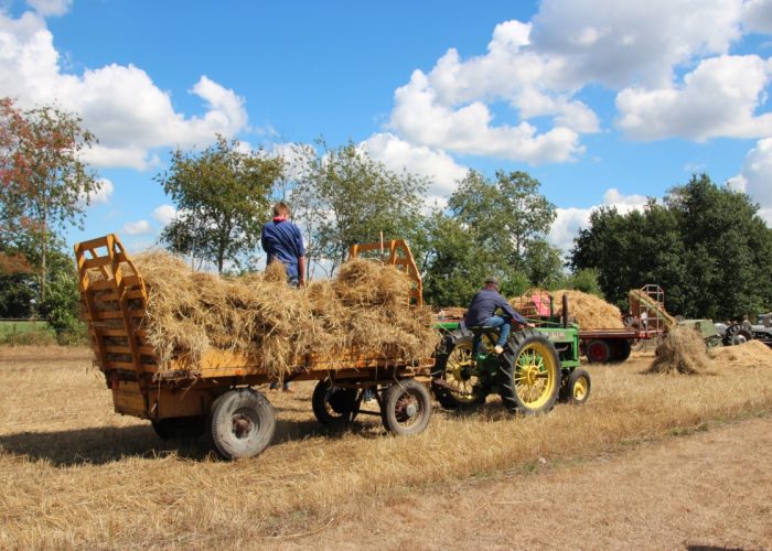 Boerderijmuseum Oogstfeest 2018 022